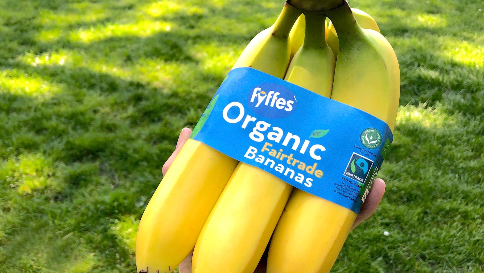 Fyffes introduces new recyclable packaging