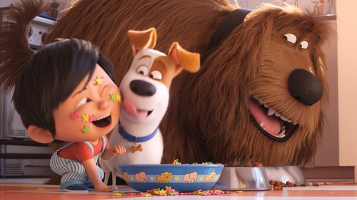 There's a new arrival in Max and Duke's house