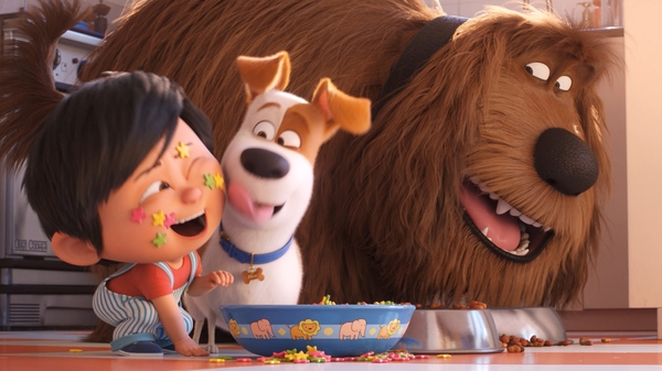 There's a new arrival in Max and Duke's house