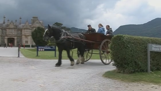 Killarney Jarvey (2009)