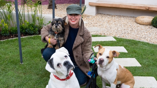 Watch Super Garden tonight on RTÉ One!