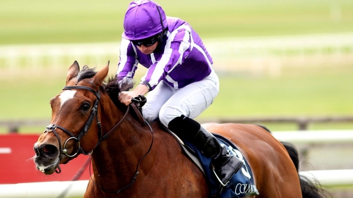 Magical is heading for Leopardstown