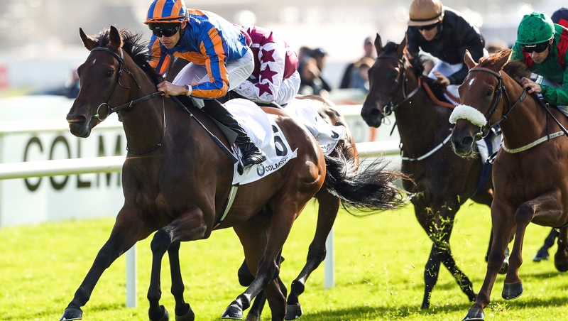 Hermosa can achieve the 1000 Guineas double