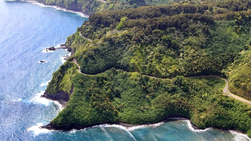 Amanda Eller was rescued on Friday having spent two weeks at the bottom of a ravine