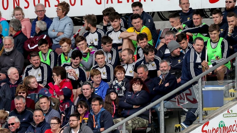 Wexford manager Davy Fitzgerald is sent to the stands at Pearse Stadium