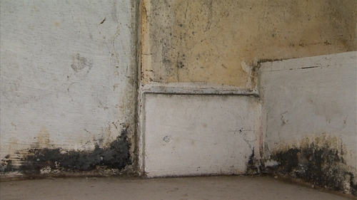 Leaks, damp and rot found in a lot of the country's infrastructure