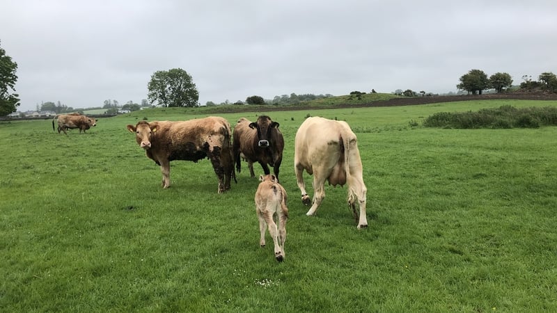 The heads of farmers unions from the Republic, Northern Ireland and England met today