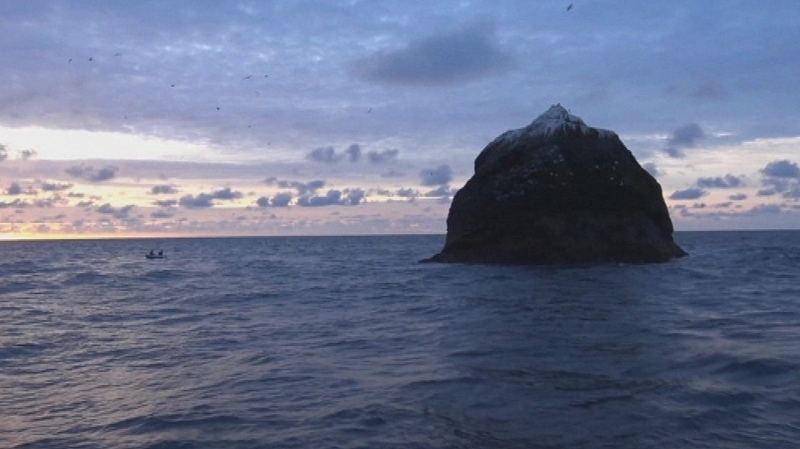 The Taoiseach said the issue was raised at Cabinet this morning