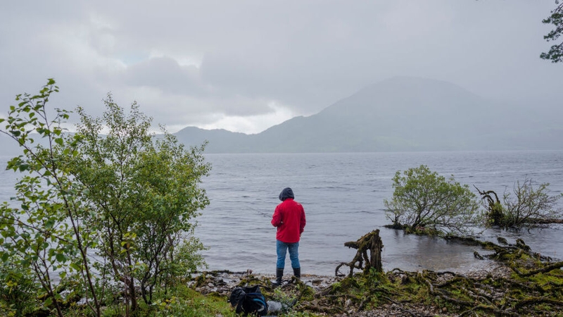 Signage has been erected on Lough Leane to warn the public to keep dogs on leads