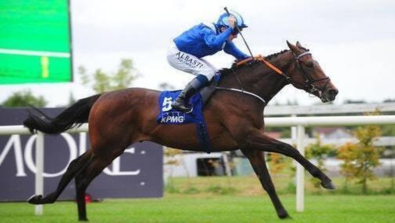 Madhmoon, with Chris Hayes in the plate