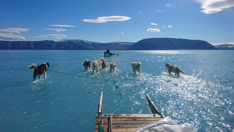 Danish scientists had to wade through the melting ice water to retrieve their equipment
(Courtesy: DMI/Steffen M Olsen)
