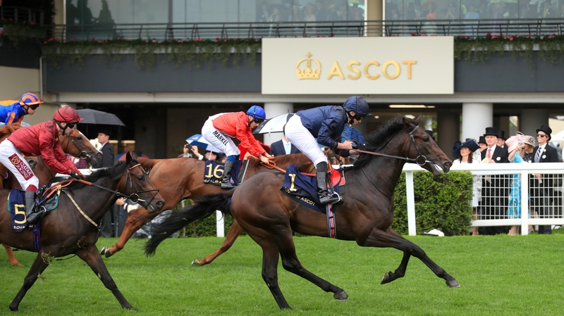 Ryan Moore on board Arizona at Ascot last year