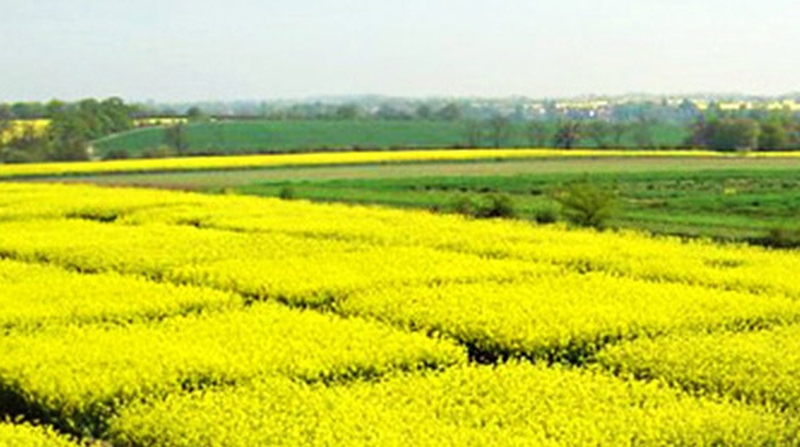 Origin Enterprises provides specialist agronomy advice, crop inputs and digital agricultural solutions