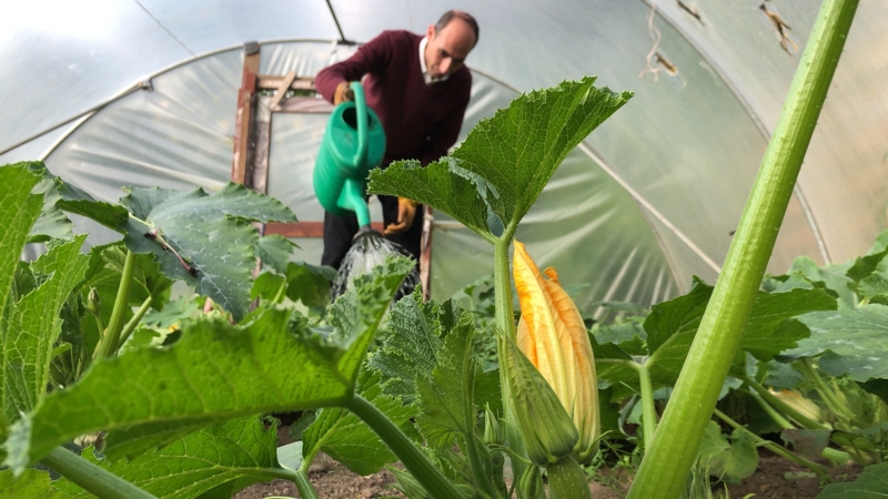 Radwan Abouhajar came to Ireland in December 2014