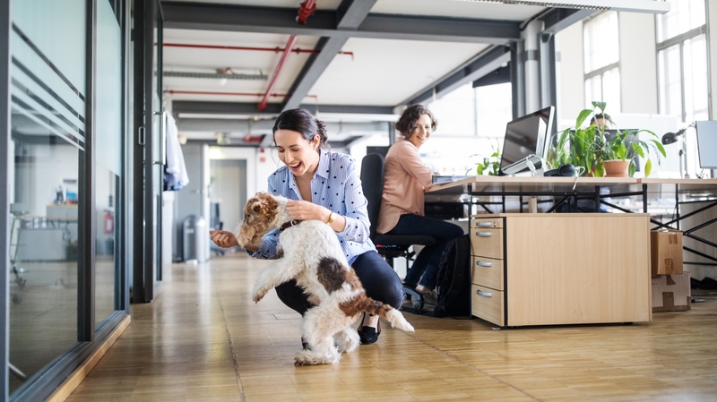 The benefits for having dogs in the office are many