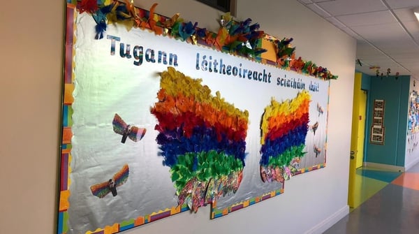 Gluaiseacht na Gaelscolaíochta: 50 bliain ag fás