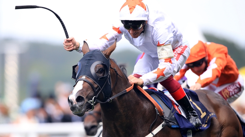 Advertise ridden by jockey Frankie Dettori coming home to win the Commonwealth Cup