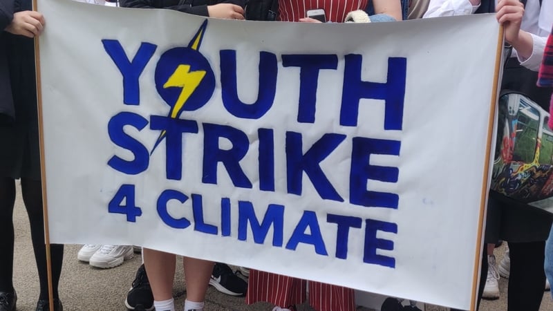 The activists were part of the "Fridays For Future Ireland" protest at Leinster House