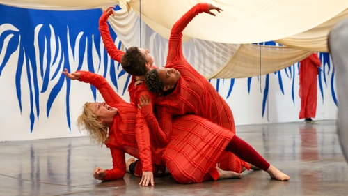 CIACLA opened with Amanda Coogan's work The Ladder is Always There