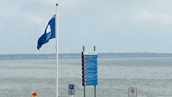 Prime Time - Swimming Ban, Retrofitting Your House & Greyhounds