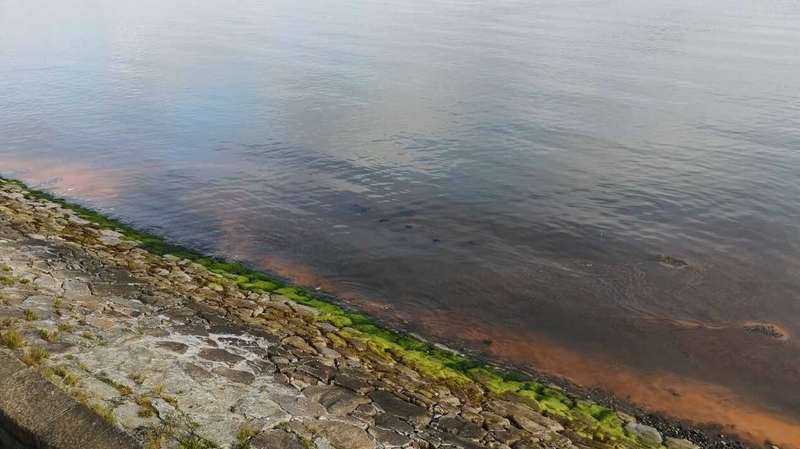 Ban was put in place over concerns about water quality