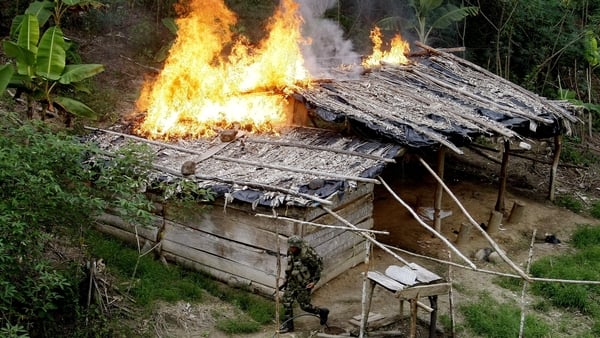 The bulk of global cocaine seizures were in the Americas