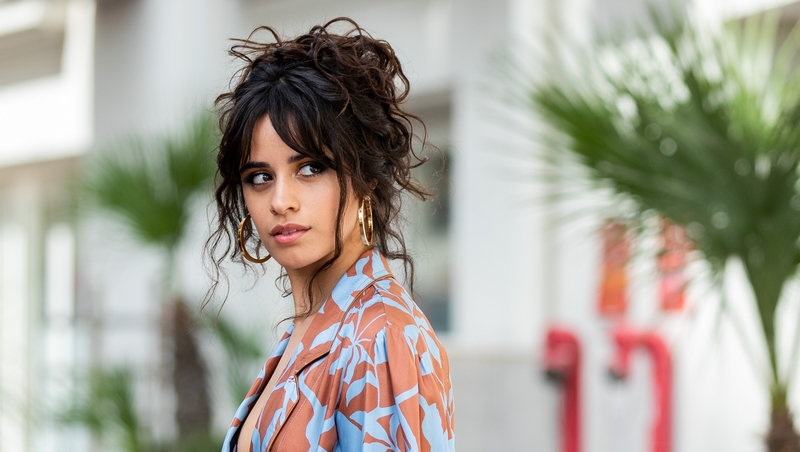 Camila Cabello has urged fans to stop spreading hate on social media