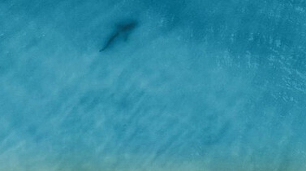 The Watson family had a memorable day out to the beach