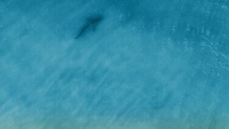 The Watson family had a memorable day out to the beach