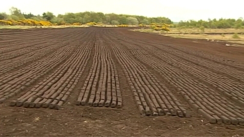 The restoration and rehabilitation measures will be overseen by Bord na Móna