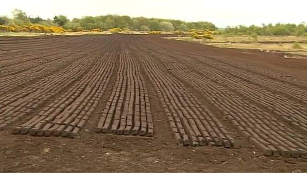 The restoration and rehabilitation measures will be overseen by Bord na Móna