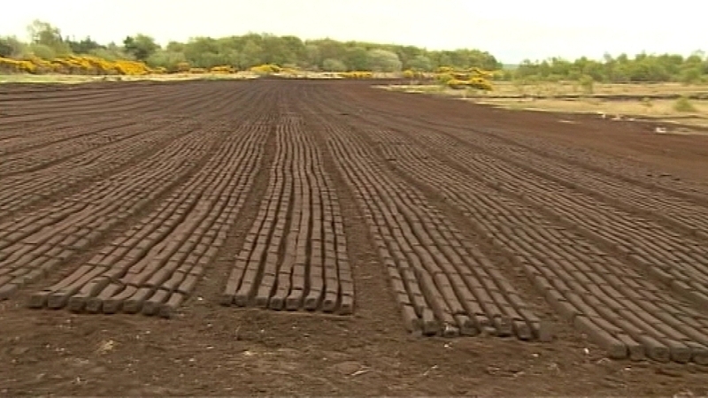 Alternatives are being sought for workers affected by the decision to close two power stations in the midlands