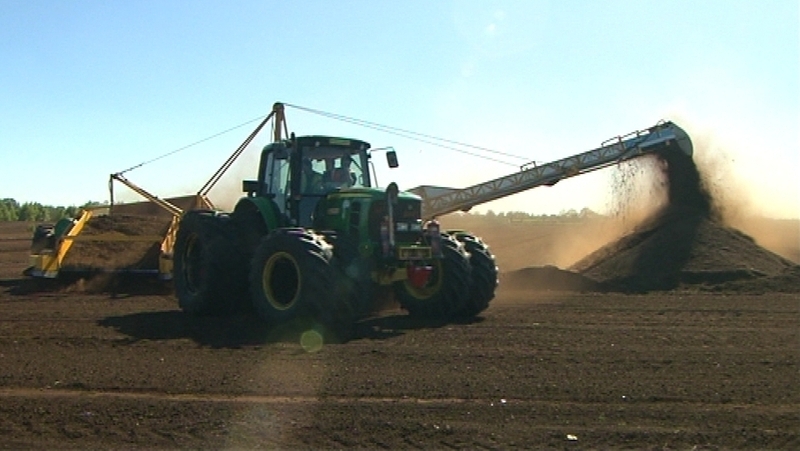 Bord na Móna cited an unprecedented fall in commercial revenue and collapse in horticultural sales