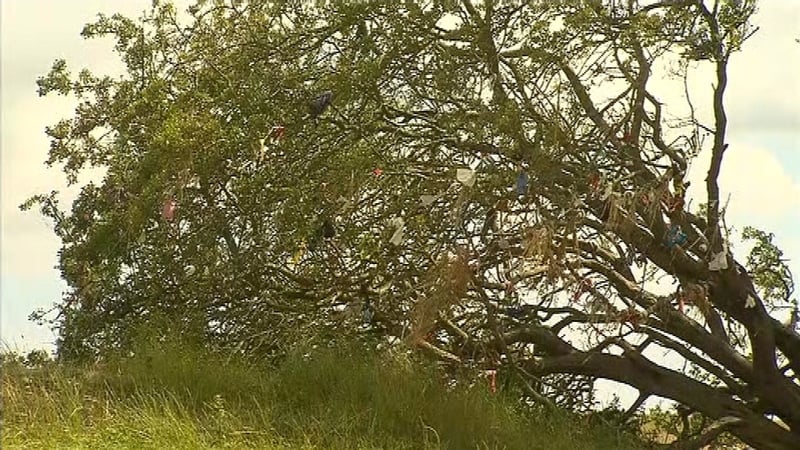 There are nine so-called 'wishing trees' or 'fairy trees' on the Hill of Tara