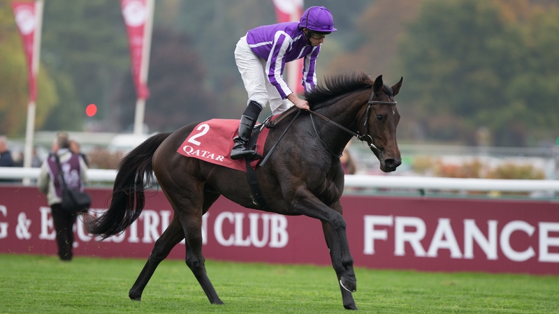 Ryan Moore on Pink Dogwood