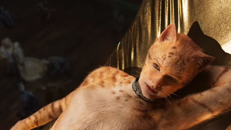 Taylor Swift in Cats