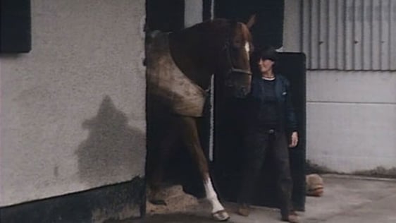 Groom Fiona Dowley (1979)