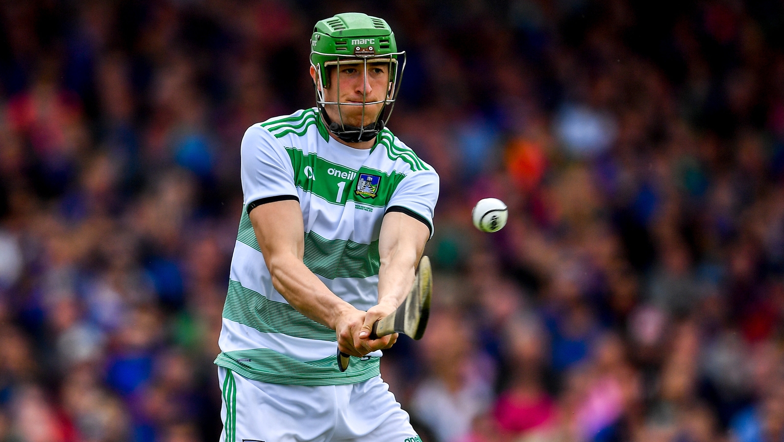 Nickie Quaid made his Limerick debut in 2010 as an outfield player