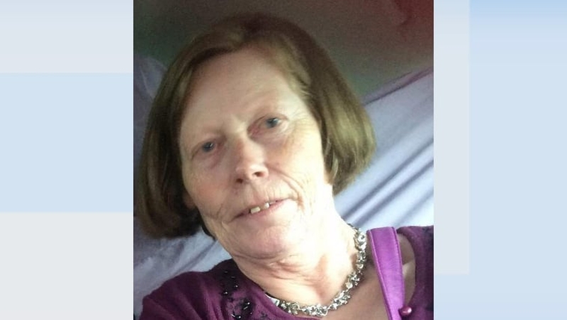 Teresa McDonagh sustained fatal injuries after she was attacked by three dogs in June 2017