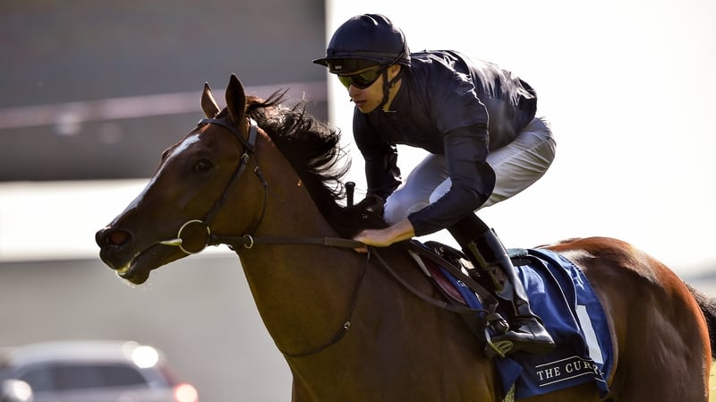 Armory with Donnacha O'Brien up