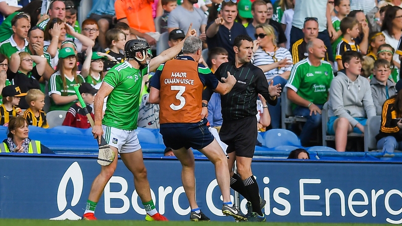 Darragh O'Donovan and a Limerick official appeal to linesman Patrick Murphy after the sideline was ruled wide