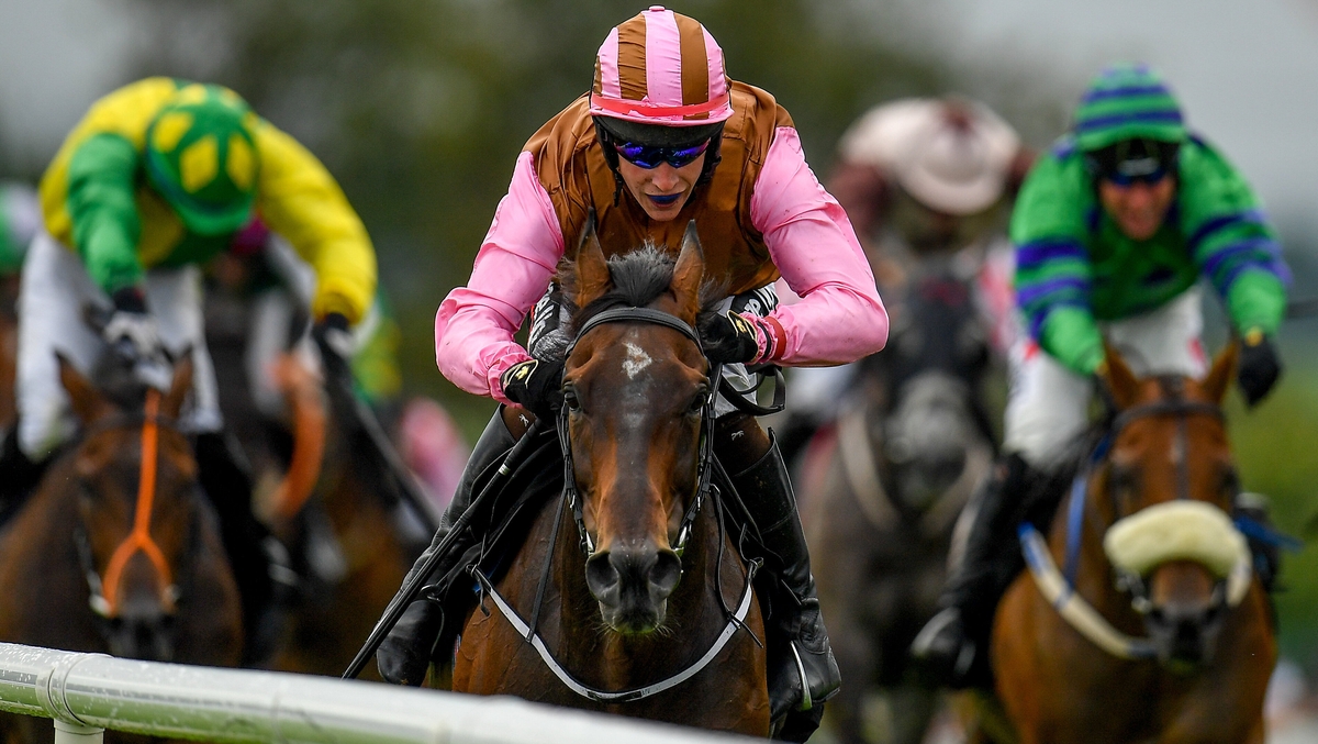 RACING - Galway Races Day 2 Preview