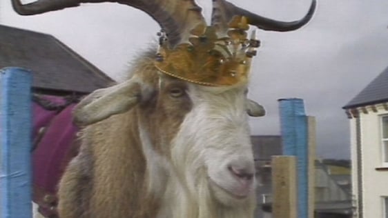 King Puck (1989)