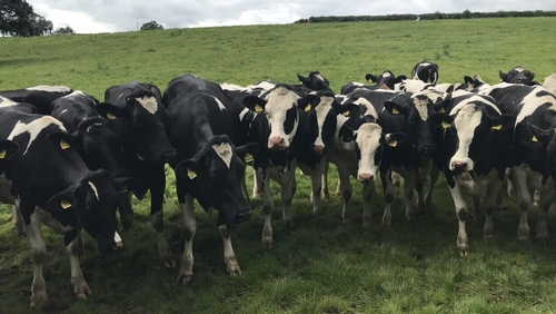 An Taisce challenged the Nitrates Action programme which permits Irish farmers to have higher levels of organic nitrates on their land