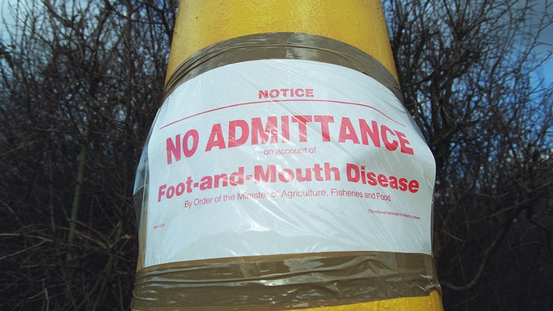 Chonaic Éirinn a dóthain den ghalar i 2001 agus roimhe sin i 1967