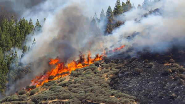 Firefighters are using planes and helicopters to fight the blaze