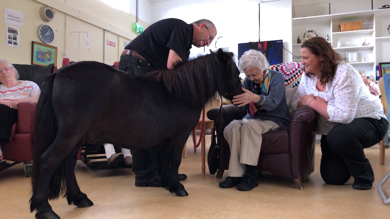 Jet works his magic at St Colman's Residential Care Centre