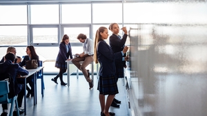 What role do private schools have in our education system? 