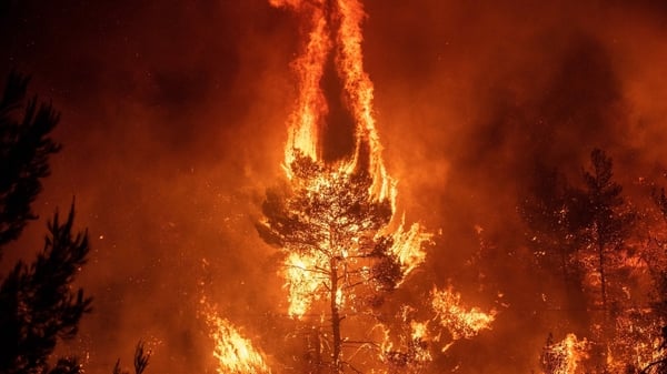 Firefighters battled through the night to tackle the blaze