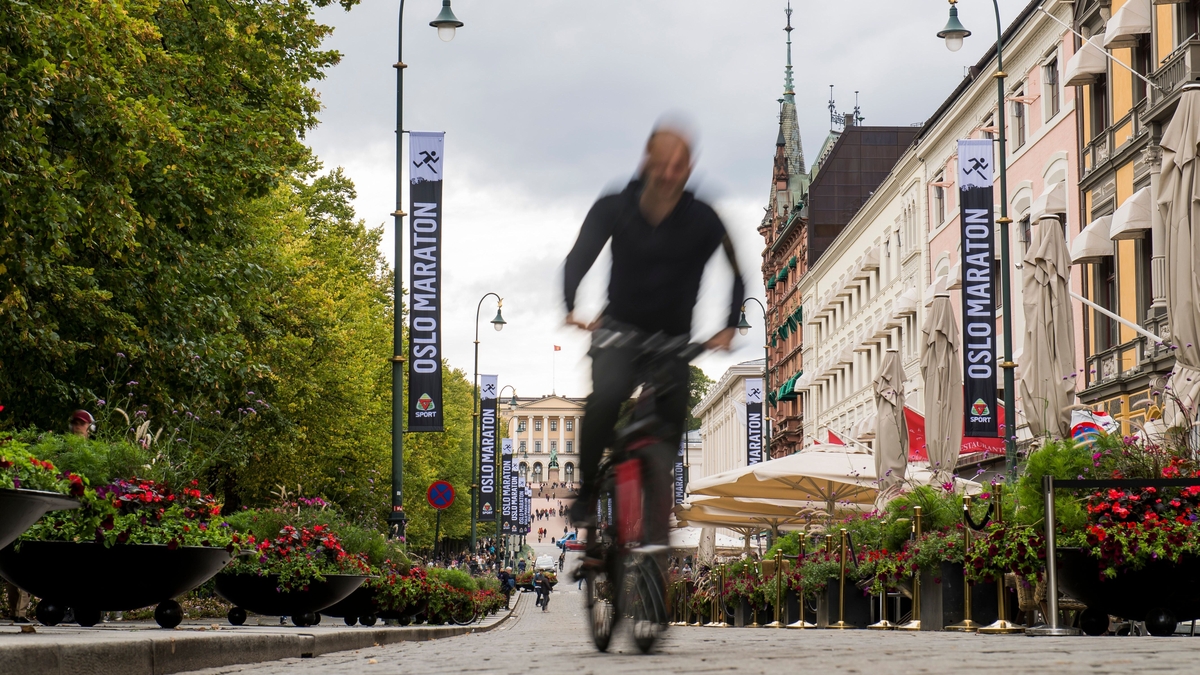Brainstorm: Car-Free Cities
